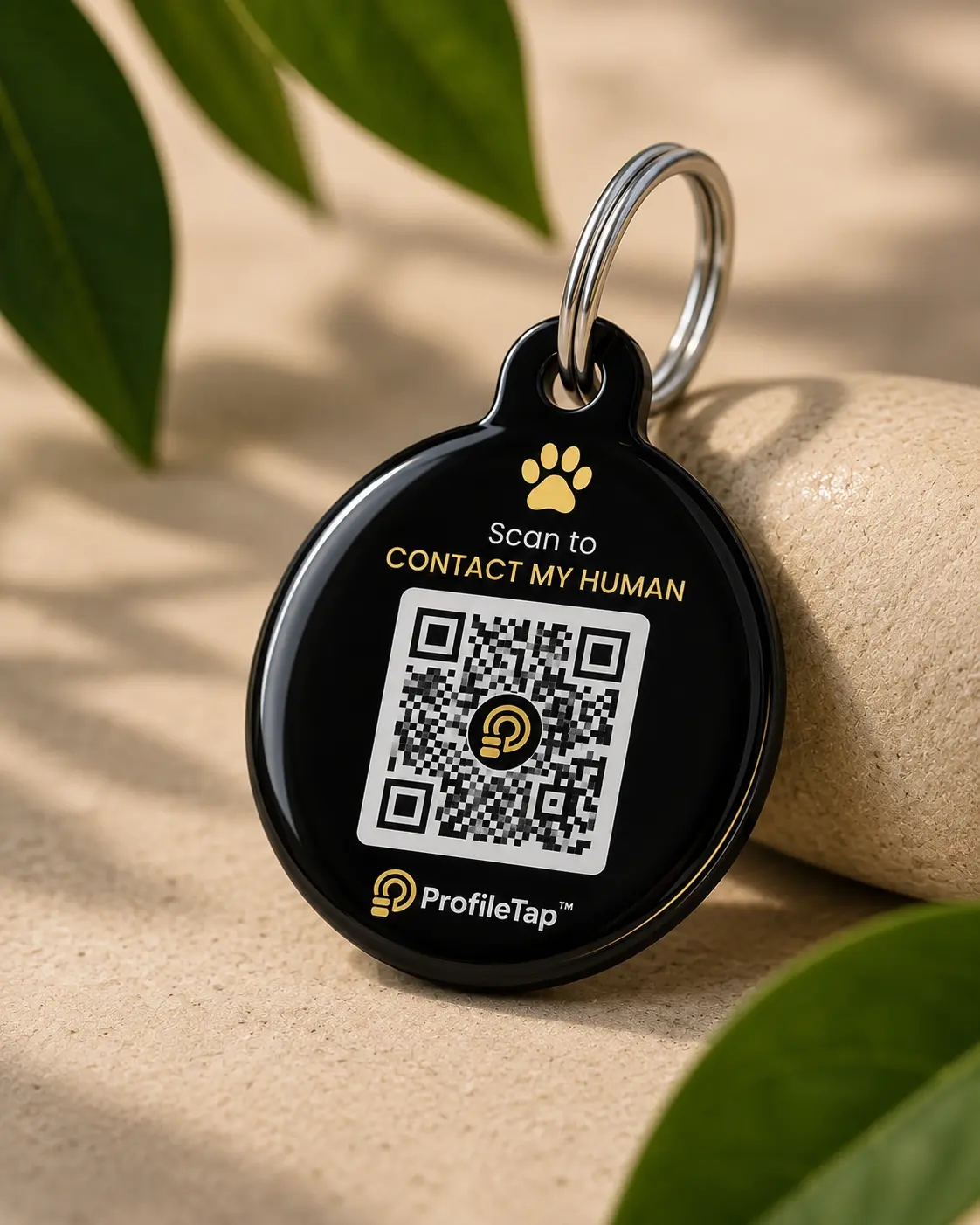 QR Pet Tag for Lost-Pet Recovery